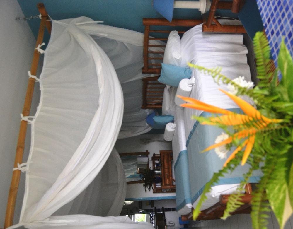 Hotel Mockingbird Hill بورت أنطونيو المظهر الخارجي الصورة