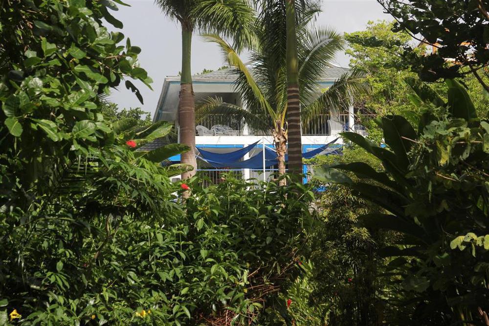 Hotel Mockingbird Hill بورت أنطونيو المظهر الخارجي الصورة